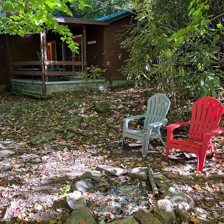 Cozy Cabin Pet Friendly Ada Compatible Maggie Valley Exterior photo