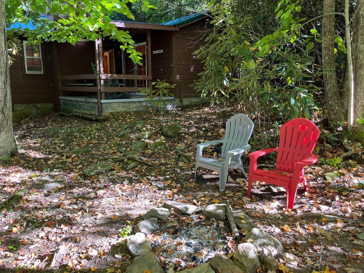 Cozy Cabin Pet Friendly Ada Compatible Maggie Valley Exterior photo